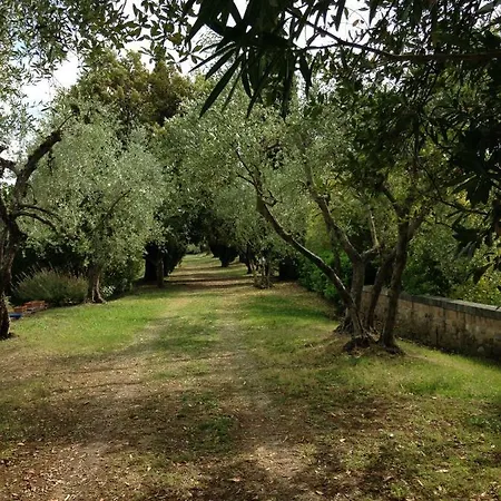 Fontebenedetta Piscina Natura E Panorama Feriehus Siena